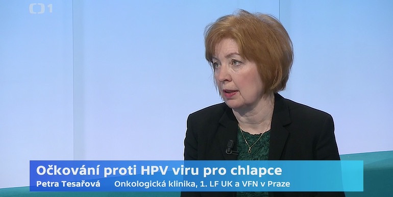 Anotační obrázek
